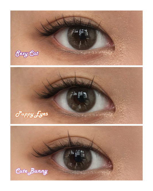 Animal Cuteness Starter Kit – 3 Styles + Tweezer