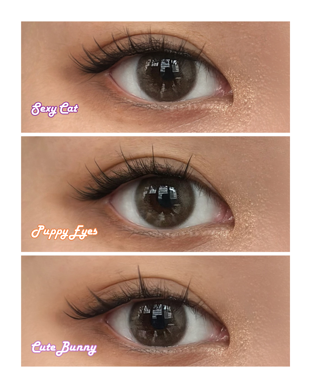 Animal Cuteness Starter Kit – 3 Styles + Tweezer